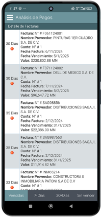 Análisis de Pagos - Detalle